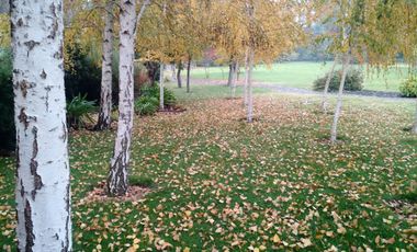 Hermosa Casa Condominio Chicureo 280/5.000 Piscina Jardín