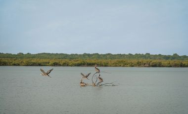 BEACHFRONT APARTAMENTS FOR SALE