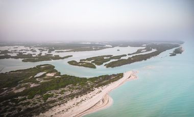 BEACHFRONT APARTAMENTS FOR SALE