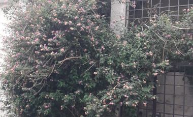 BROKER VALPARAISO NUEVAS 4D-3B-VISTA