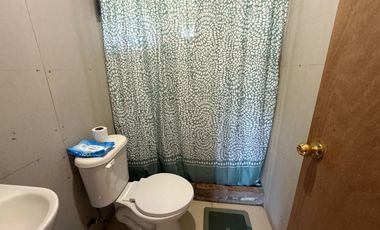 Se Vende Parcela con 2 Construcciones en cruce de Reumen, Paillaco, Región de Los Ríos.