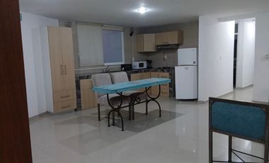 Amplio departamento con 2 cuartos y terraza