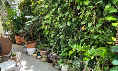 ASINAS HILL SAN JUAN