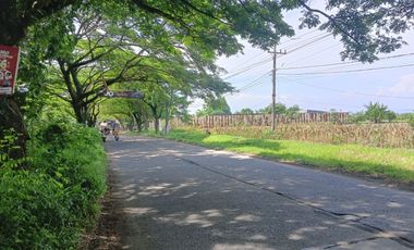 Tanah Luas Pinggir Jalan Raya Brumbung Mranggen Demak Cocok Untuk Usaha dan Industri