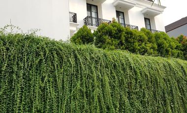 FOR RENT : CILANDAK SOUTH JAKARTA