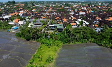 3-Bedroom Villa with Sauna and Lush Green Surroundings in Cemagi