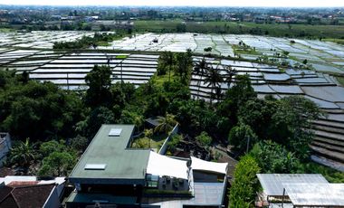 3-Bedroom Villa with Sauna and Lush Green Surroundings in Cemagi