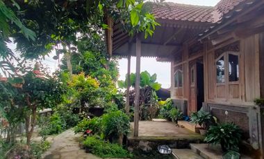 Dijual Rumah Gaya Joglo - Olehsari, Banyuwangi