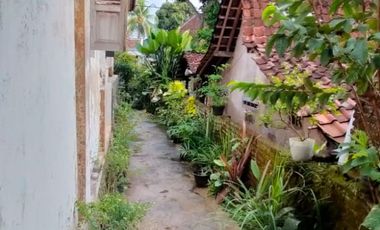 Dijual Rumah Gaya Joglo - Olehsari, Banyuwangi