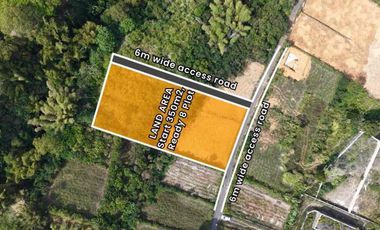 Tanah View Danau Dan Gunung Batur Di Kintamani Kedisan Bangli Dekat Songan Suasana Dingin