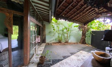 Beli Tanah Bonus Bangunan - Lokasi Strategis Dekat Kampus Unud, Mall, GWK, dan Bandara!