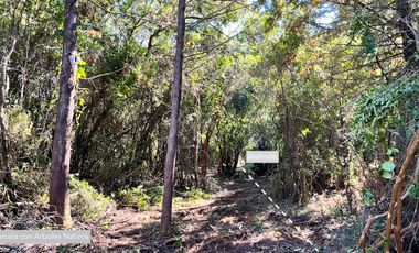 Se venden Exclusivas Parcelas en Parral, Sector Embalse Digua