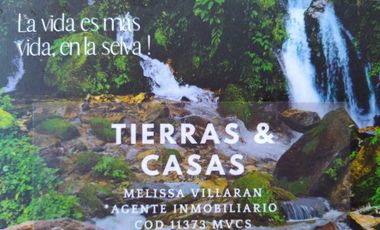 TERRENO HERMOSO CON PLANTAS ORNAMENTALES Y FRUTALES