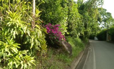 TERRENO HERMOSO CON PLANTAS ORNAMENTALES Y FRUTALES
