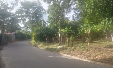 TERRENO HERMOSO CON PLANTAS ORNAMENTALES Y FRUTALES