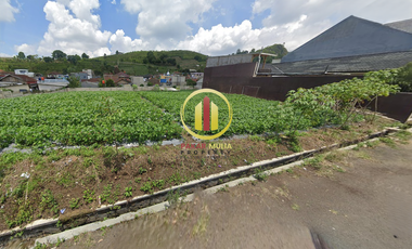 TANAH MURAH DI LEMBANG BANDUNG COCOK UNTUK APAPUN