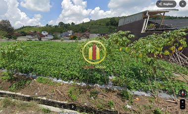 TANAH MURAH DI LEMBANG BANDUNG COCOK UNTUK APAPUN