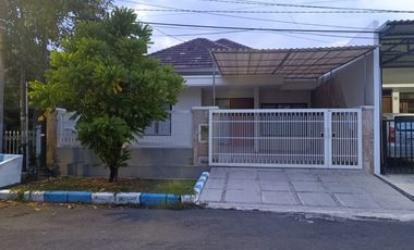 Rumah disewakan