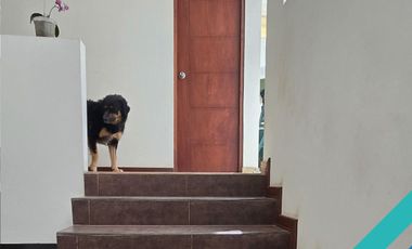 CASA 2 PISOS EN VENTA 250 M2 CALLE SANTA CATALINA - CIENEGUILLA