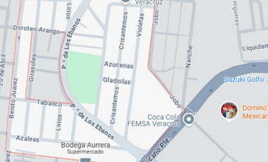 CASA DE REMATE BANCARIO EN CALLEJON DEL SEGURO SOCIAL, COL.LAS FLORES DEL VALLE, VERACRUZ