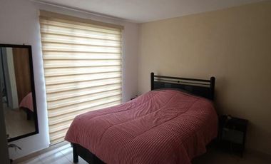 Casa en Renta en el Fraccionamiento Adriatico