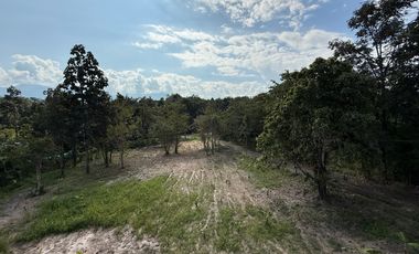 2 bed house for sale near The Four Seasons Hotel, Mae Rim, Chiang Mai