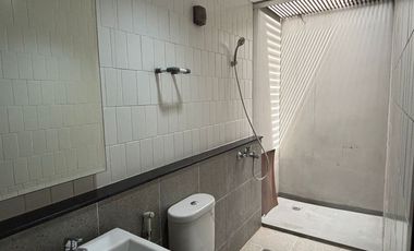 Rumah Freya Premium Disewakan Include Gorden di Cluster Flora Summarecon