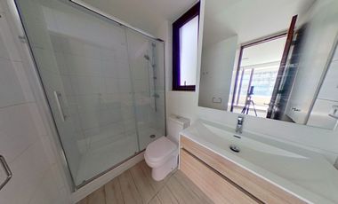 Av. Vicuña Mackenna/ Metro Camino Agrícola