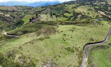 Venta de Hacienda con Ganado y Maquinaria en Cotacachi, 66 hectáreas
