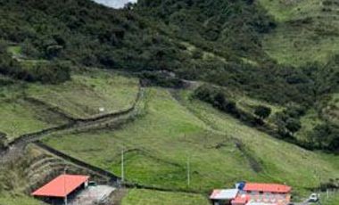 Venta de Hacienda con Ganado y Maquinaria en Cotacachi, 66 hectáreas