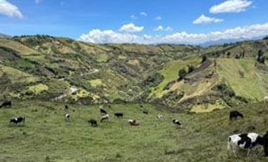 Venta de Hacienda con Ganado y Maquinaria en Cotacachi, 66 hectáreas