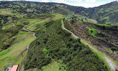 Venta de Hacienda con Ganado y Maquinaria en Cotacachi, 66 hectáreas