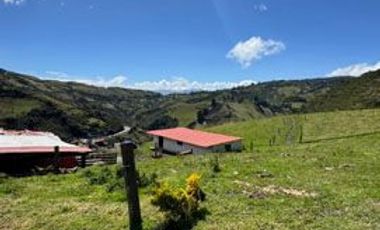Venta de Hacienda con Ganado y Maquinaria en Cotacachi, 66 hectáreas