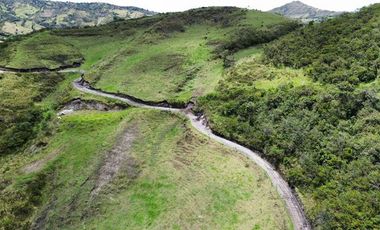 Venta de Hacienda con Ganado y Maquinaria en Cotacachi, 66 hectáreas