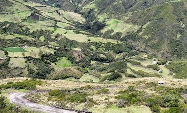 Venta de Hacienda con Ganado y Maquinaria en Cotacachi, 66 hectáreas