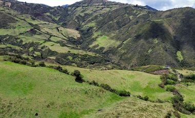 Venta de Hacienda con Ganado y Maquinaria en Cotacachi, 66 hectáreas