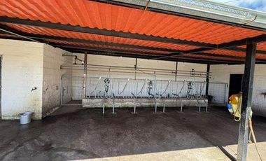 Venta de Hacienda con Ganado y Maquinaria en Cotacachi, 66 hectáreas