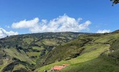 Venta de Hacienda con Ganado y Maquinaria en Cotacachi, 66 hectáreas