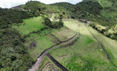 Venta de Hacienda con Ganado y Maquinaria en Cotacachi, 66 hectáreas