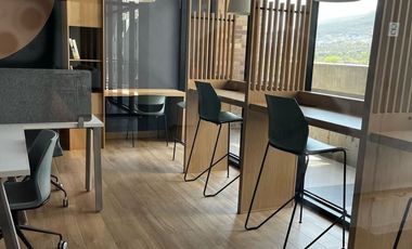 Renta de Departamento Torre Mun