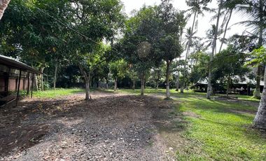 Tanah di Meninting dekat Coconut Boutique Resort