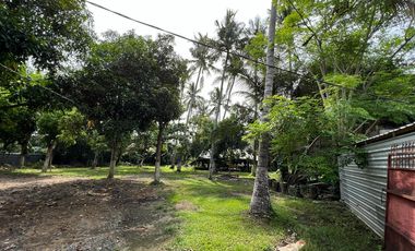 Tanah di Meninting dekat Coconut Boutique Resort