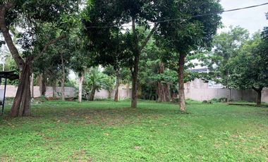 Tanah di Meninting dekat Coconut Boutique Resort