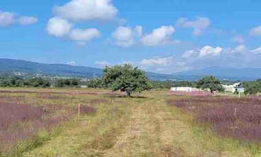 VENTA DE TERRENO EN PAGOS EN TULANCINGO HIDALGO