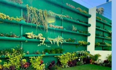 DEPARTAMENTOS EN VENTA ZUMPANGO Y CHALCO