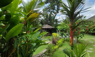 Annual Rental: Stylish Gianyar Villa 2BR + Private Pool & Office Space