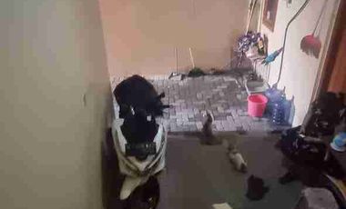 Jual Kost Aktif
Wage Aloha, Taman
Sidoarjo

Luas 139m2
Dimensi 7x20
LB 200m2 ( 2 Lantai )
Hadap Timur
Kmr tidur 12
Kmr mandi dalam
Listrik Induk ( Ada Pembagi )
Air Sumur
Row jln 3m
Surat SHM
Tarif Kost 550ribu/bln
Ada Dapur, Ada Jemuran
Ada Parkir Motor
Sudah di Renovasi

*Turun Harga 790 Juta*
Cash Only