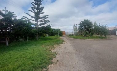 VENDE HERMOSA PARCELA 1 HECTÁREA EN COPIAPÓ