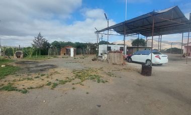 VENDE HERMOSA PARCELA 1 HECTÁREA EN COPIAPÓ