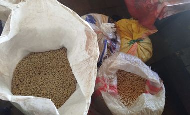 VENTA  FINCA DE 12.HAS, SEMBRIOS CAFE, EN INTAG COTACACHI